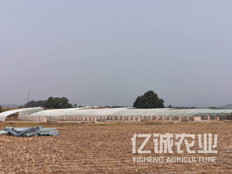 一畝溫室大棚造價多少錢？溫室建設(shè)成本