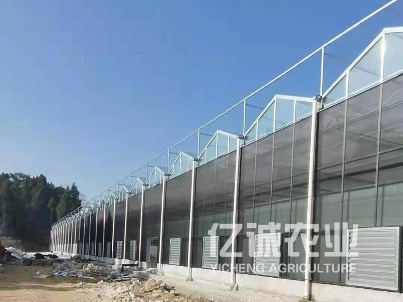 建溫室大棚需要多少錢？連棟溫室工程造價(jià)