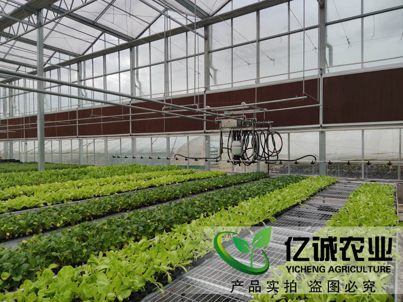 現(xiàn)代化智能溫室大棚