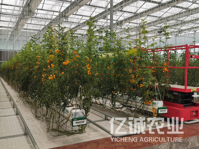 青州溫室大棚建設(shè)哪家好？