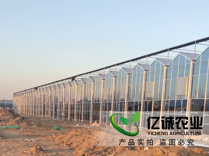 建一畝地溫室大棚多錢？用什么材料比較好？