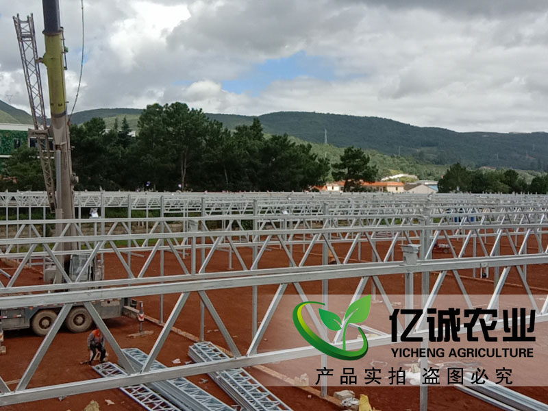 青州玻璃溫室大棚哪家建的比較專業(yè)？性價(jià)比高？