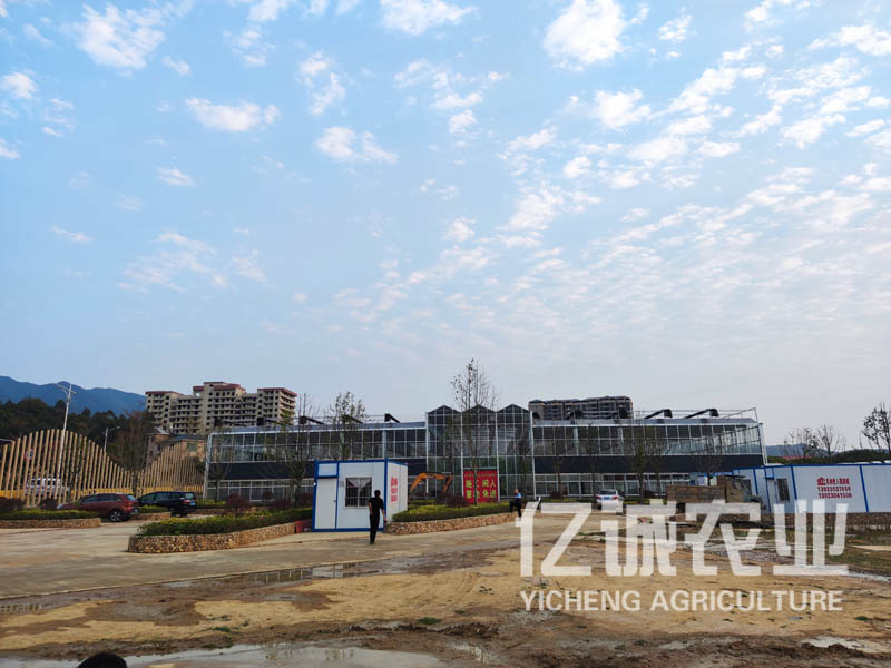 現(xiàn)代化連棟溫室大棚建設(shè)有補(bǔ)貼嗎？連溫室大棚造價(jià)多少一畝
