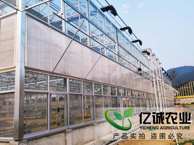 玻璃溫室大棚造價(jià)多少錢一畝？玻璃連棟溫室大棚價(jià)格高不高？