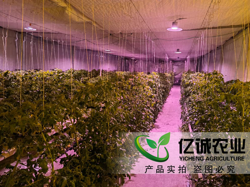 蔬菜大棚造價(jià)是如何計(jì)算的？