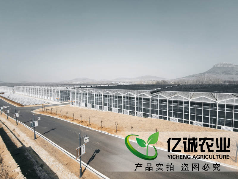 連棟溫室大棚水槽內(nèi)為什么會(huì)積水？億誠教您這樣做