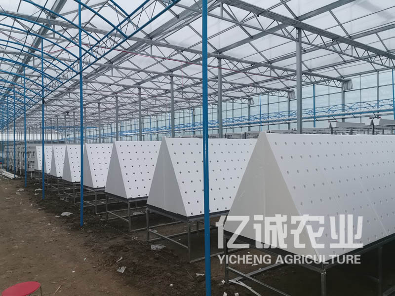 薯類(lèi)作物的溫室大棚怎么建設(shè)？造價(jià)高不高？